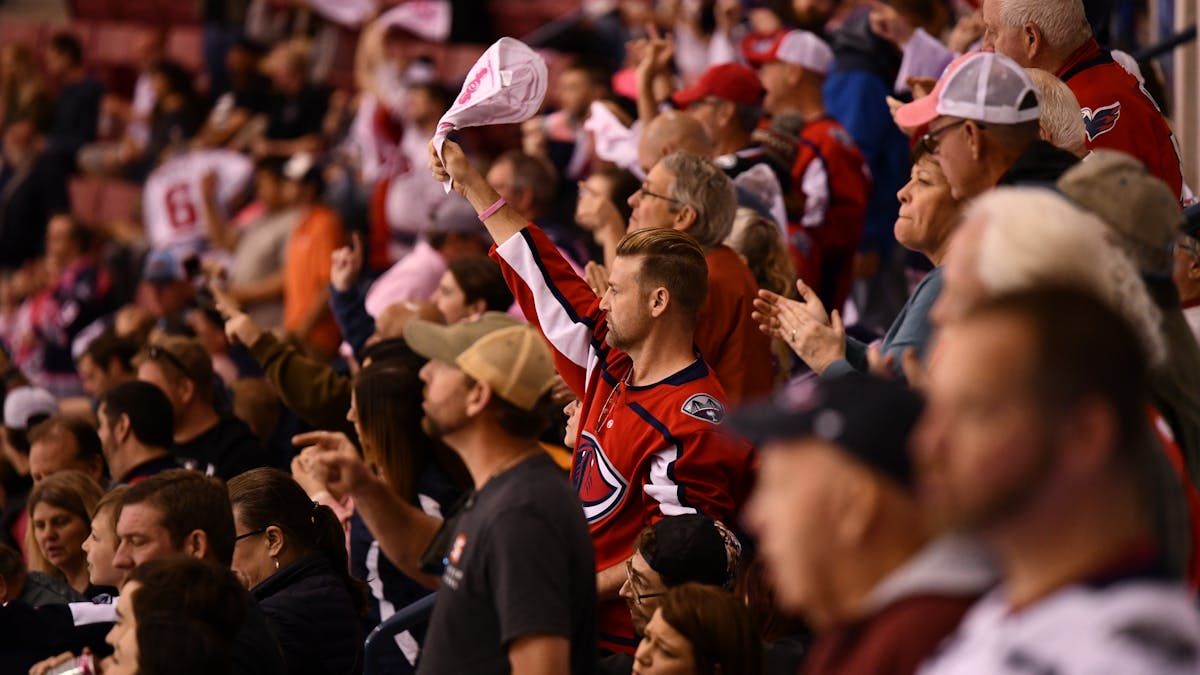 Parking South Carolina Stingrays at Orlando Solar Bears, 4 November | Event in Orlando | AllEvents